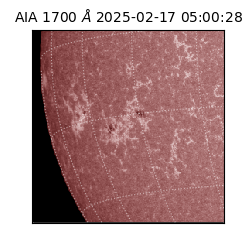 saia - 2025-02-17T05:00:28.720000