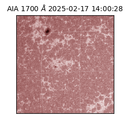 saia - 2025-02-17T14:00:28.710000