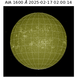 saia - 2025-02-17T02:00:14.126000