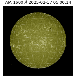 saia - 2025-02-17T05:00:14.125000
