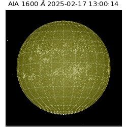 saia - 2025-02-17T13:00:14.126000