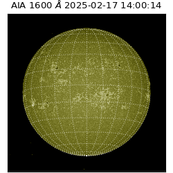 saia - 2025-02-17T14:00:14.126000