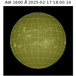 saia - 2025-02-17T18:00:14.125000