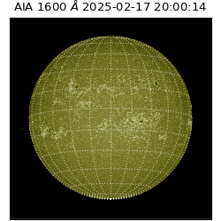 saia - 2025-02-17T20:00:14.126000