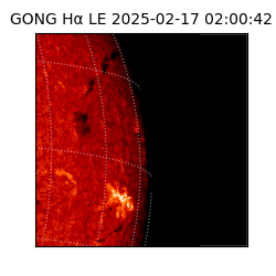 gong - 2025-02-17T02:00:42