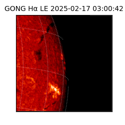 gong - 2025-02-17T03:00:42