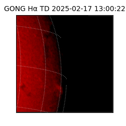 gong - 2025-02-17T13:00:22