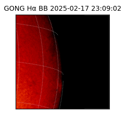 gong - 2025-02-17T23:09:02