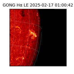 gong - 2025-02-17T01:00:42