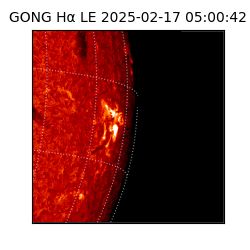 gong - 2025-02-17T05:00:42