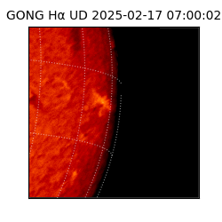 gong - 2025-02-17T07:00:02