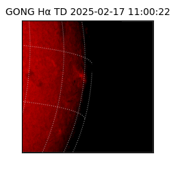 gong - 2025-02-17T11:00:22