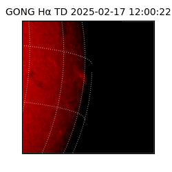 gong - 2025-02-17T12:00:22