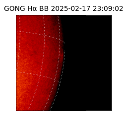 gong - 2025-02-17T23:09:02