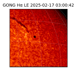 gong - 2025-02-17T03:00:42