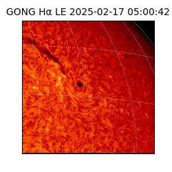 gong - 2025-02-17T05:00:42