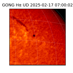 gong - 2025-02-17T07:00:02