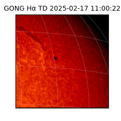 gong - 2025-02-17T11:00:22