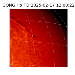 gong - 2025-02-17T12:00:22
