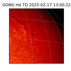gong - 2025-02-17T13:00:22