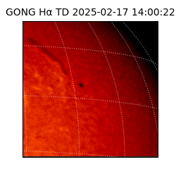gong - 2025-02-17T14:00:22