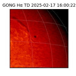 gong - 2025-02-17T16:00:22