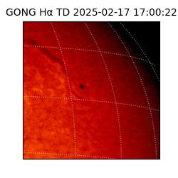 gong - 2025-02-17T17:00:22