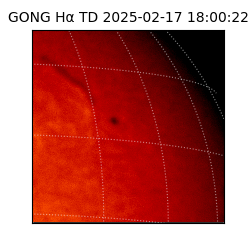 gong - 2025-02-17T18:00:22