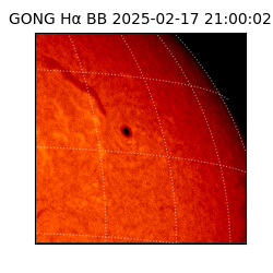 gong - 2025-02-17T21:00:02