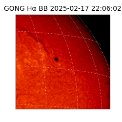 gong - 2025-02-17T22:06:02