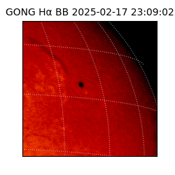 gong - 2025-02-17T23:09:02