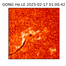 gong - 2025-02-17T01:00:42