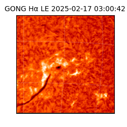 gong - 2025-02-17T03:00:42