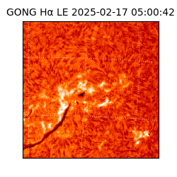 gong - 2025-02-17T05:00:42