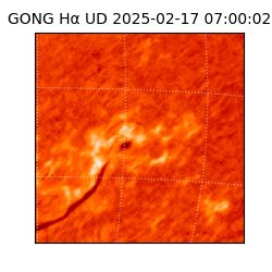 gong - 2025-02-17T07:00:02