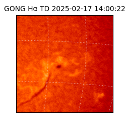 gong - 2025-02-17T14:00:22
