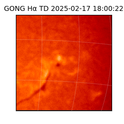 gong - 2025-02-17T18:00:22