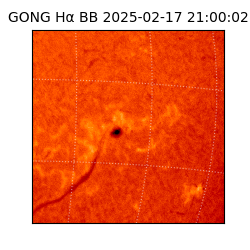 gong - 2025-02-17T21:00:02