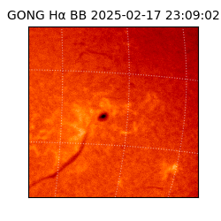 gong - 2025-02-17T23:09:02