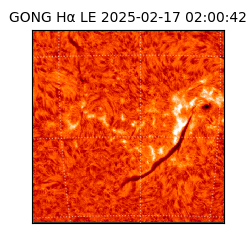 gong - 2025-02-17T02:00:42