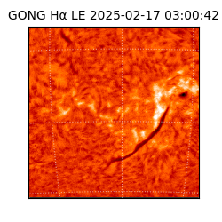 gong - 2025-02-17T03:00:42