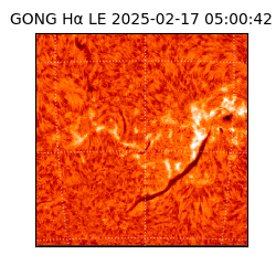 gong - 2025-02-17T05:00:42