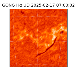 gong - 2025-02-17T07:00:02