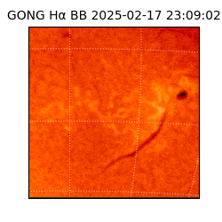 gong - 2025-02-17T23:09:02