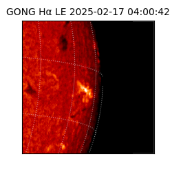 gong - 2025-02-17T04:00:42