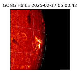 gong - 2025-02-17T05:00:42