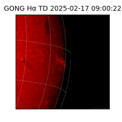 gong - 2025-02-17T09:00:22