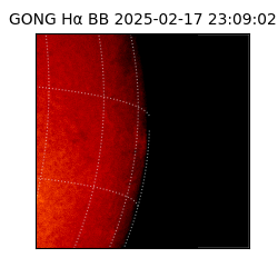 gong - 2025-02-17T23:09:02