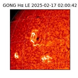 gong - 2025-02-17T02:00:42