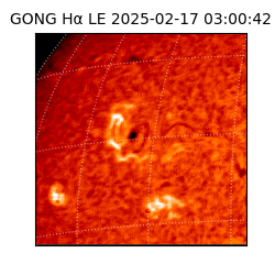 gong - 2025-02-17T03:00:42